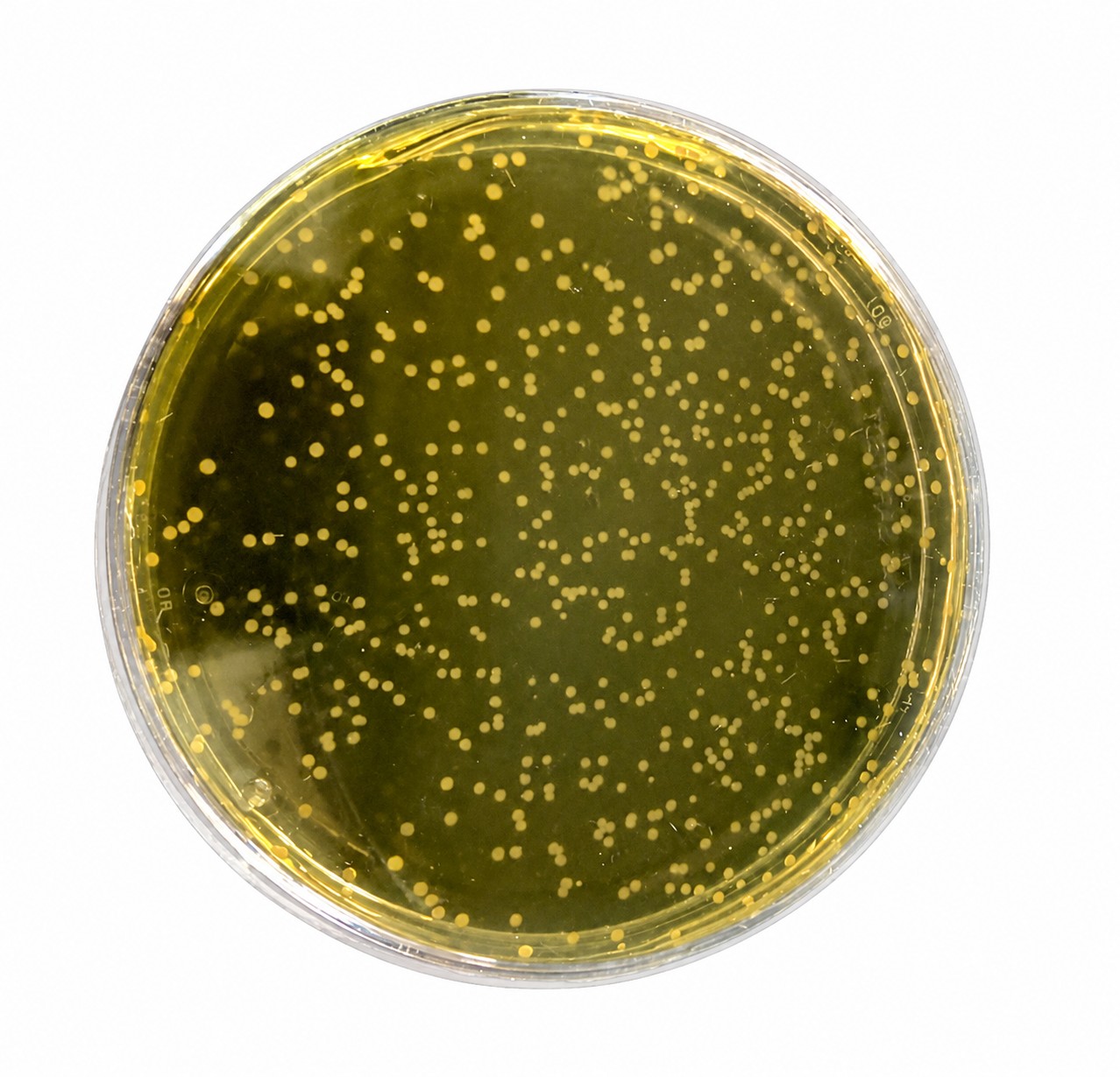 Microbiology Equipments