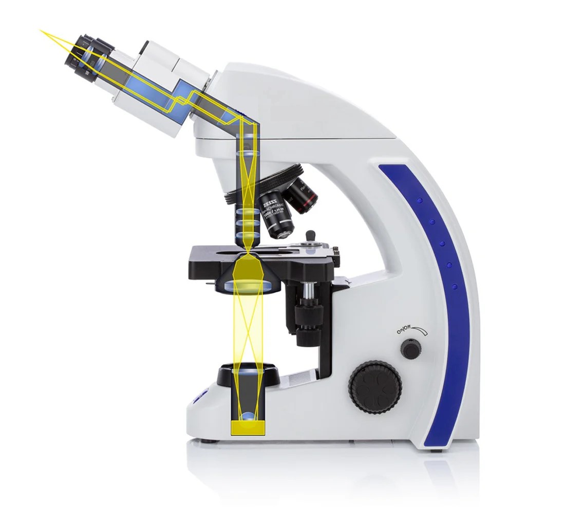 Microscopes